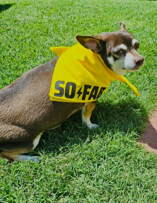 SO FAB Pup Gear